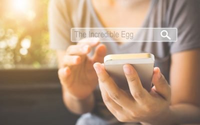 October Search and Social Deliver Strong Performance