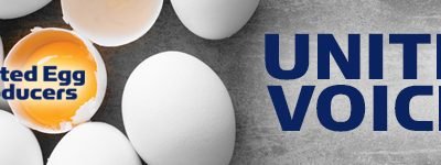 UEP December Newsletter