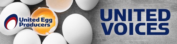 UEP December Newsletter