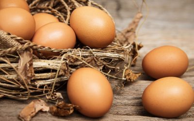USDA Egg Bids for Trade Mitigation  