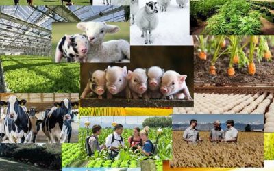 Ag Day at the Capitol Coming Together to Celebrate, Taste and Educate