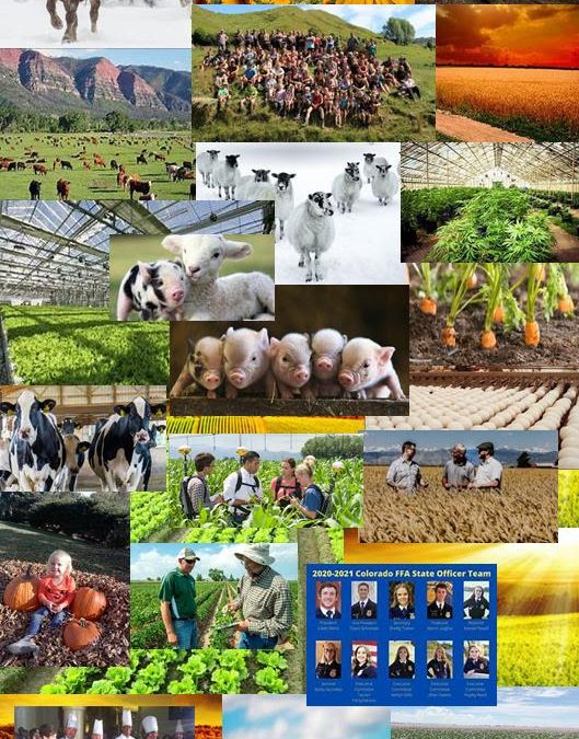 Ag Day at the Capitol Coming Together to Celebrate, Taste and Educate