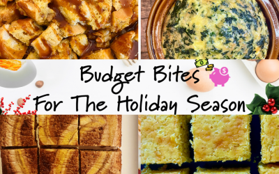 Budget Bites