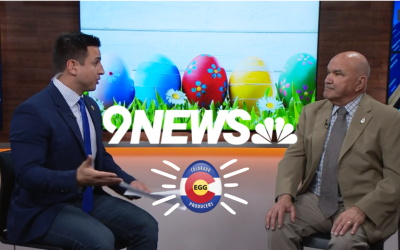 Media Spotlight – Egg Update