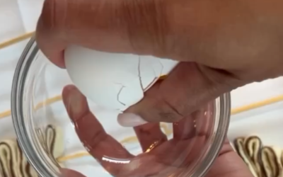 Our Favorite Egg Wash