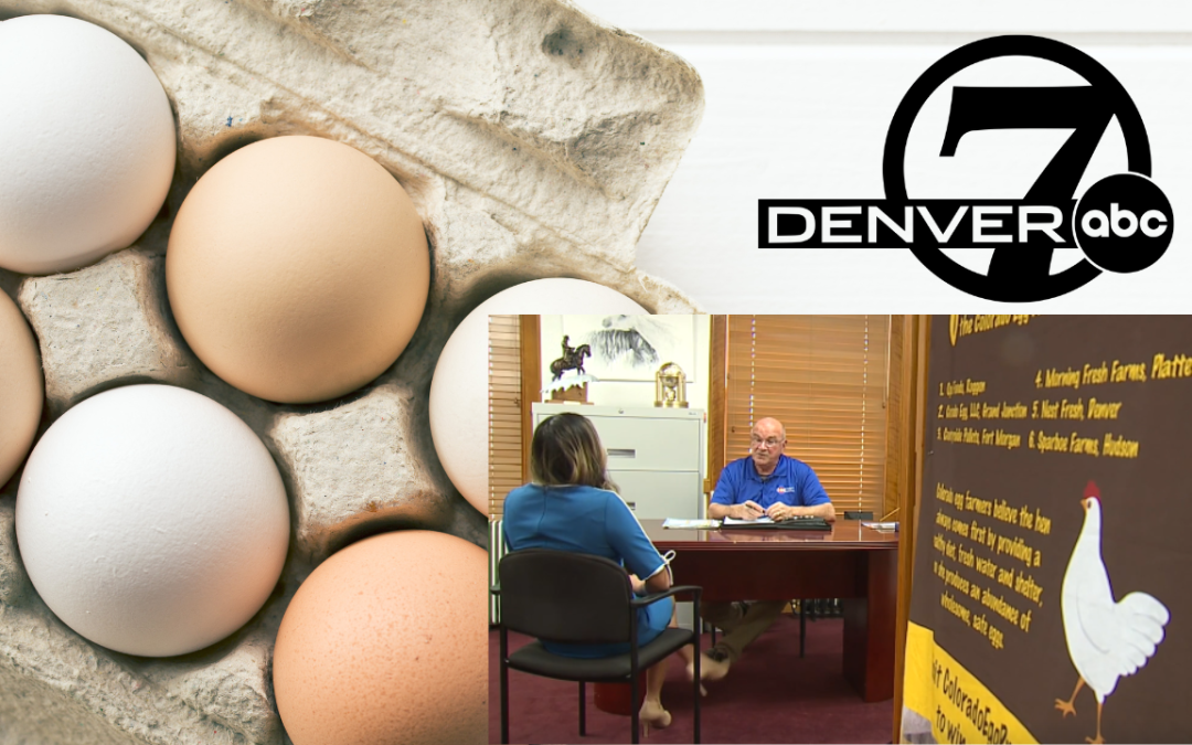USDA’s Plan To Combat Bird Flu Gives Colorado Egg Producers Hope After Months Of Struggle